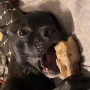 Meet your Posher, Dalilah